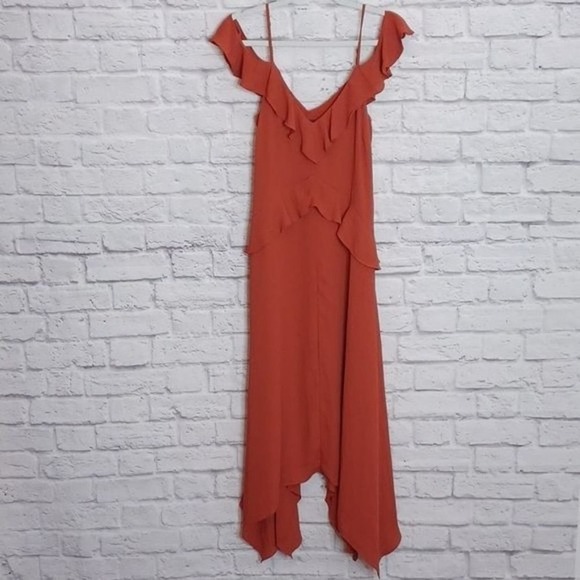 Bcbgmaxazria XXSLissa Asymmetrical Slip Dress Burnt Orange - Picture 5 of 7